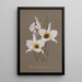 Sammlung von Orchideen Pl68 - Anonym — gerahmtes Bild an der Wand