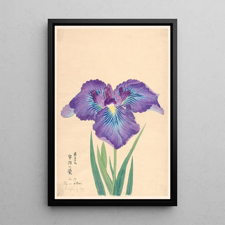 Anonymous - Firefly of Ugi Uji no Hotaru.webp