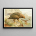 Adler König - Anonym — gerahmtes Bild an der Wand