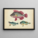 Ein rosa Fisch, zwei grüne Fische - Anonym — gerahmtes Bild an der Wand