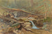Teich im Wald - Anonym — Ansicht des Kunstwerks