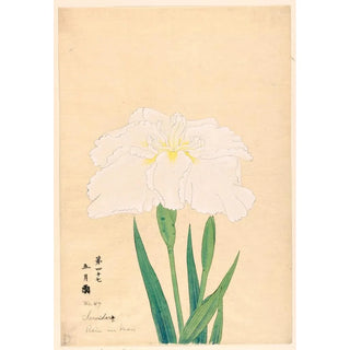 Anonymous - Rain in May Samidare.webp