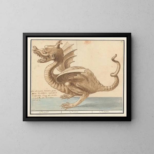 Drache - Anselmus Botius de Boodt — gerahmtes Bild an der Wand