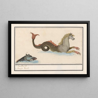 Anselmus Botius de Boodt - Hippocampus en vis fantasiedieren 1 ZeePeerdt 2 Bruijn Visch.webp