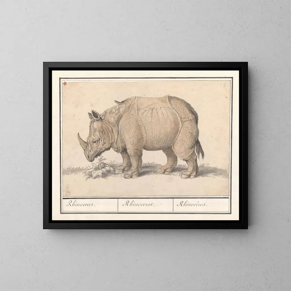 Rhinocéros indisch - Anselmus Botius de Boodt — gerahmtes Bild an der Wand