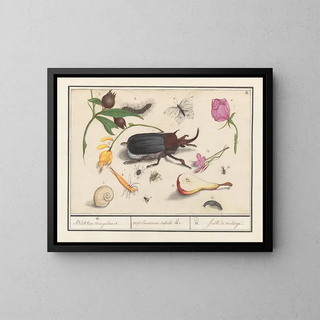 Anselmus Botius de Boodt - Natuurhistorische ensemble nr 18.webp