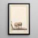 Reproduktion des Gemäldes Schaf Ovis aries schaep Ram ovus aries brebis bellier - Anselmus Botius de Boodt