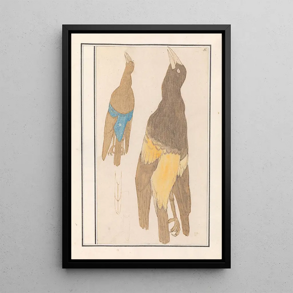 Anselmus Botius de Boodt - Twee vogels.webp