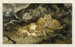 Löwin und Löwenjunge - Antoine-Louis Barye — Ansicht des Kunstwerks