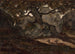 Zwei Rehe ruhen im Fontainebleau-Wald - Antoine-Louis Barye — Ansicht des Kunstwerks