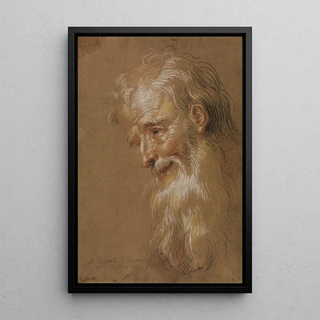 Antoine Coypel - Head of a bearded old man.webp