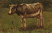 Kuh - Anton Mauve — Ansicht des Kunstwerks
