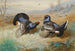 Tétras-lyres au lek - Archibald Thorburn — Ansicht des Kunstwerks