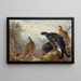Großtrappe - Archibald Thorburn — gerahmtes Bild an der Wand