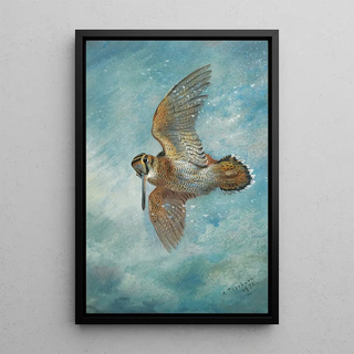 Archibald Thorburn - Caught In A Blizzard Woodcock.webp