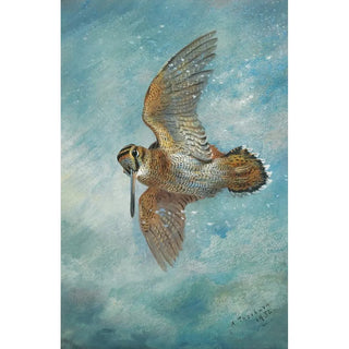 Archibald Thorburn - Caught In A Blizzard Woodcock.webp