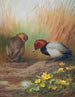 Fuligule milouin - Archibald Thorburn — Ansicht des Kunstwerks