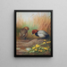 Fuligule milouin - Archibald Thorburn — gerahmtes Bild an der Wand