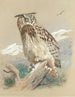 Großkauz - Archibald Thorburn — Ansicht des Kunstwerks