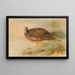 Perdrix - Archibald Thorburn — gerahmtes Bild an der Wand