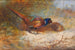 Fasane - Archibald Thorburn — Ansicht des Kunstwerks