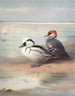 Smew - Archibald Thorburn — Ansicht des Kunstwerks