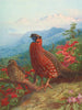 Der Satyre tragopan - Archibald Thorburn — Ansicht des Kunstwerks