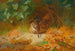 Bécasse - Archibald Thorburn — Ansicht des Kunstwerks