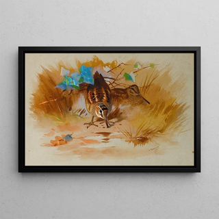 Archibald Thorburn - Woodcock In A Sandy Hollow.webp