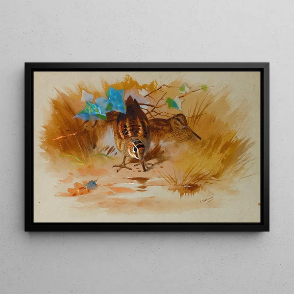 Archibald Thorburn - Woodcock In A Sandy Hollow.webp