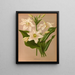 Eucharis Amazonica - Arentina Hendrica Arendsen — gerahmtes Bild an der Wand