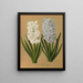 Hyazinthen: La Tour d’Auvergne und Grand Lilas – Arentina Hendrica Arendsen — gerahmter Kunstdruck an der Wand