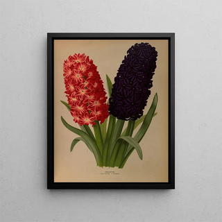 Arentina Hendrica Arendsen - Hyacinths 5.webp