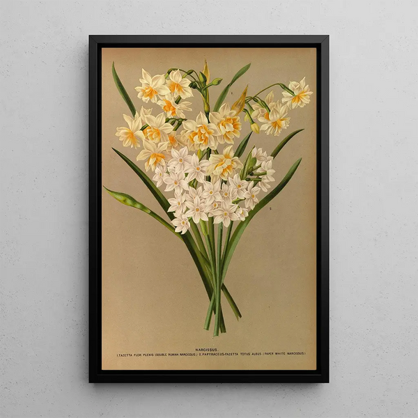 Reproduktion des Gemäldes Narcisse 2 - Arentina Hendrica Arendsen