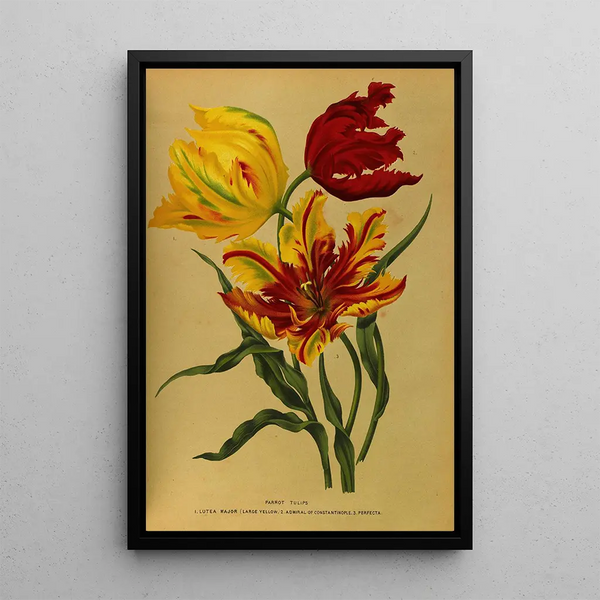 Reproduktion des Gemäldes Tulpen Papagei - Arentina Hendrica Arendsen