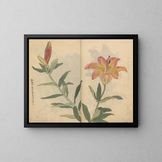 Ariyoshi Kondo - Sketchbook Pl002.webp