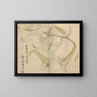 Ariyoshi Kondo - Sketchbook Pl012.webp