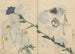 Skizzenbuch Pl013 - Ariyoshi Kondo — Ansicht des Kunstwerks