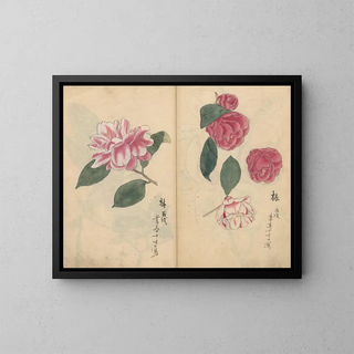 Ariyoshi Kondo - Sketchbook Pl017.webp