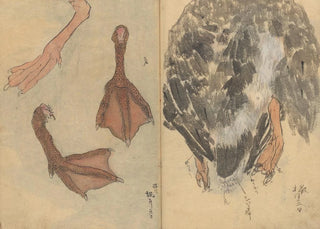 Ariyoshi Kondo - Sketchbook Pl020.webp