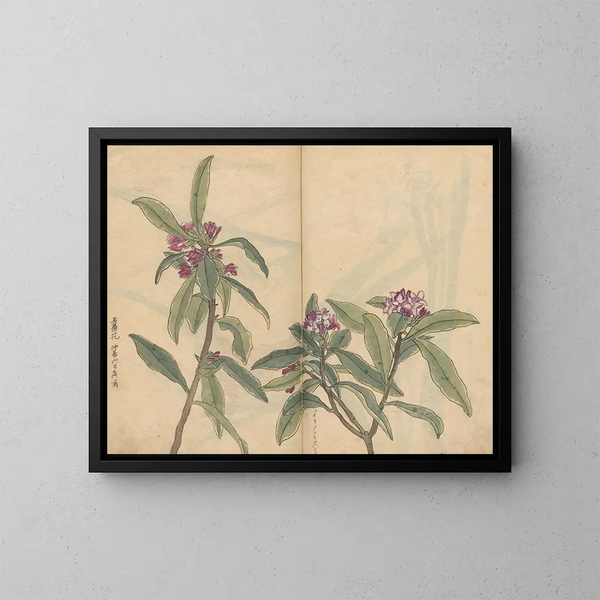 Skizzenbuch Pl022 - Ariyoshi Kondo — gerahmtes Bild an der Wand