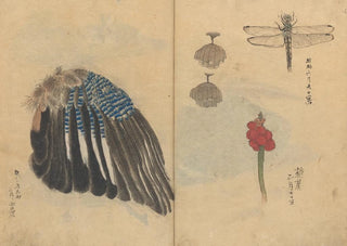 Ariyoshi Kondo - Sketchbook Pl023.webp