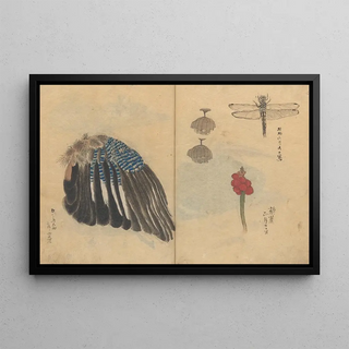 Ariyoshi Kondo - Sketchbook Pl023.webp