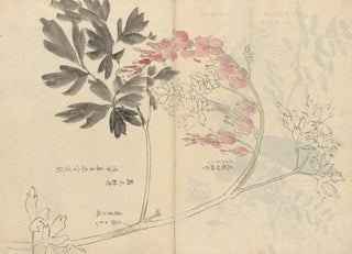 Ariyoshi Kondo - Sketchbook Pl028.webp