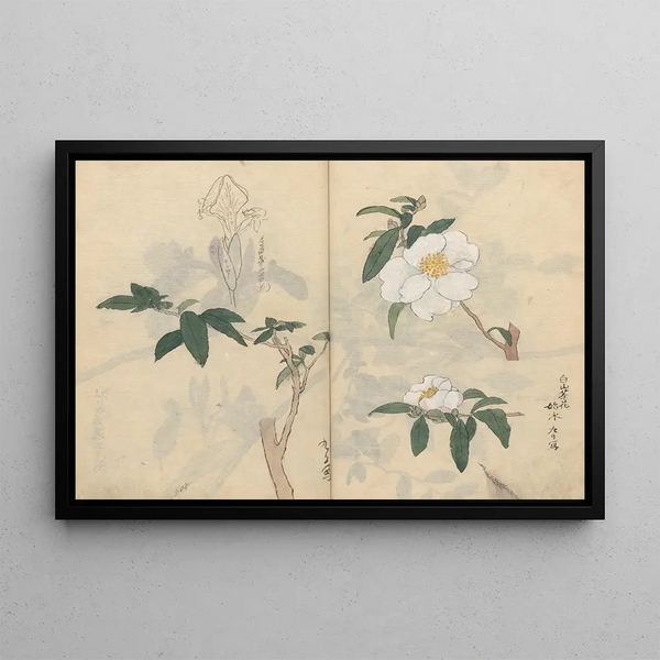 Ariyoshi Kondo - Sketchbook Pl030.webp