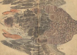 Ariyoshi Kondo - Sketchbook Pl034.webp