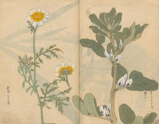 Ariyoshi Kondo - Sketchbook Pl036.webp