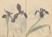 Skizzenbuch Pl037 - Ariyoshi Kondo — Ansicht des Kunstwerks