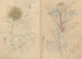 Carnet de croquis Pl040 - Ariyoshi Kondo — Ansicht des Kunstwerks