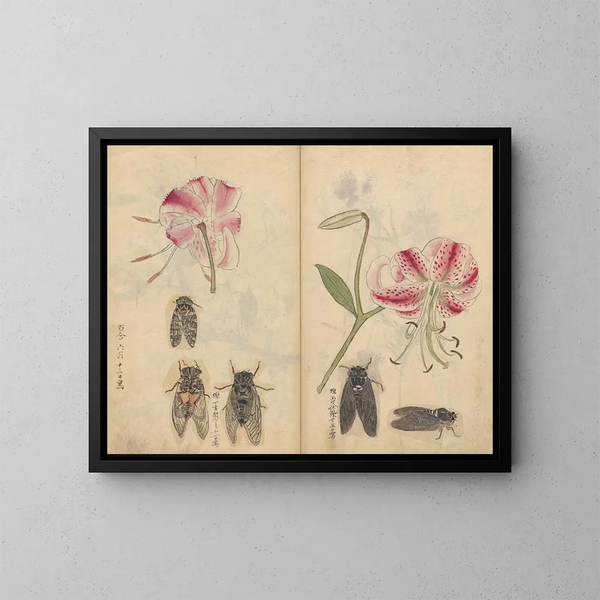 Skizzenbuch Pl044 - Ariyoshi Kondo — gerahmtes Bild an der Wand